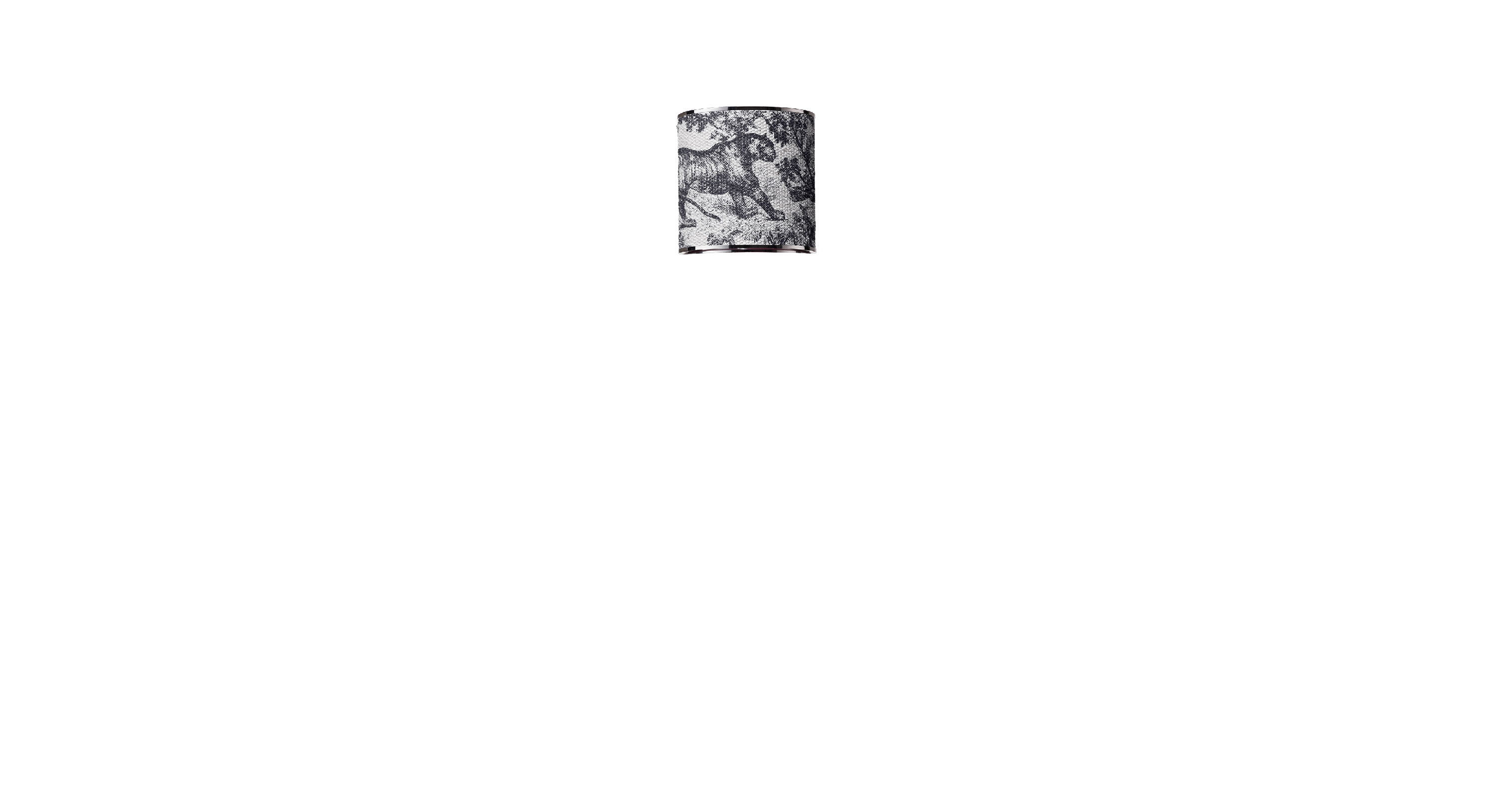Cap Option
