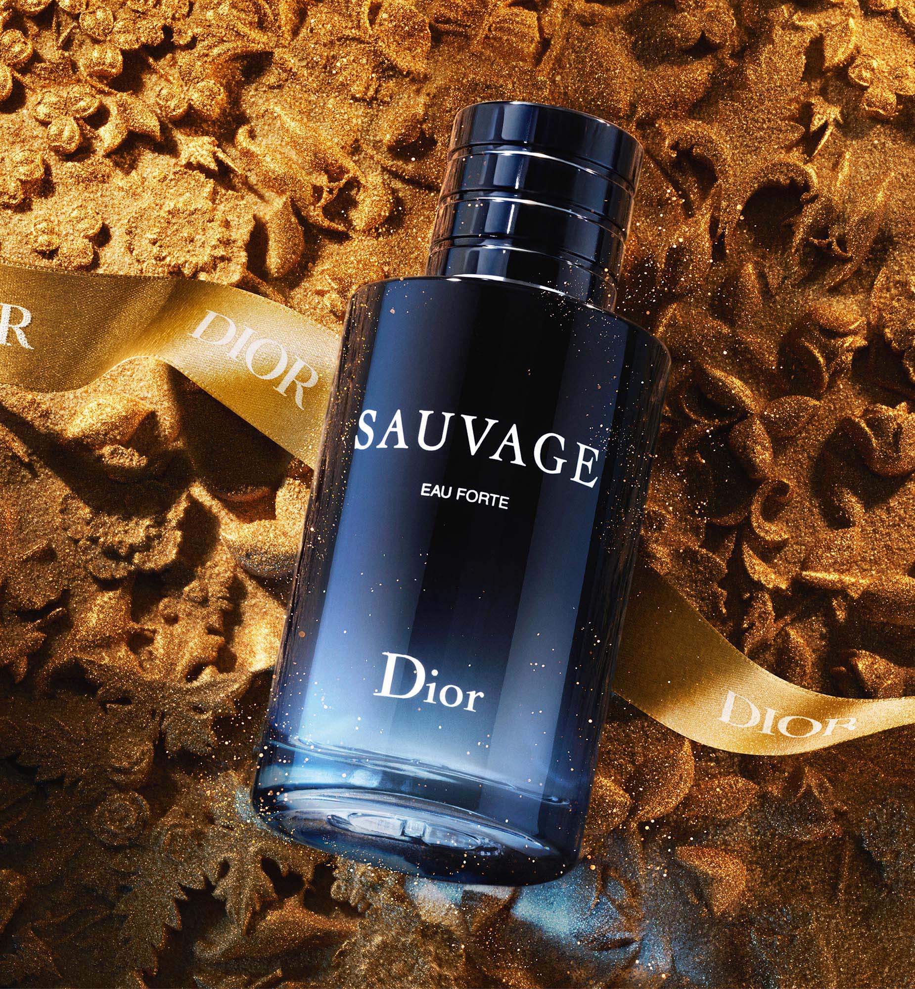 Sauvage Elixir