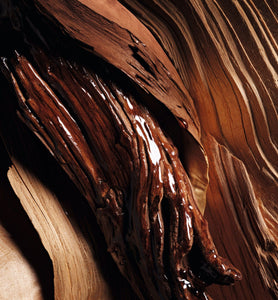 Woody Notes in Oud Rosewood Fragrance
